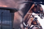 3 Июля 2020 - Состоится 21 день испытаний лошадей рысистых пород.